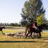 Hard Away Whitworth Hunt Opening Meet